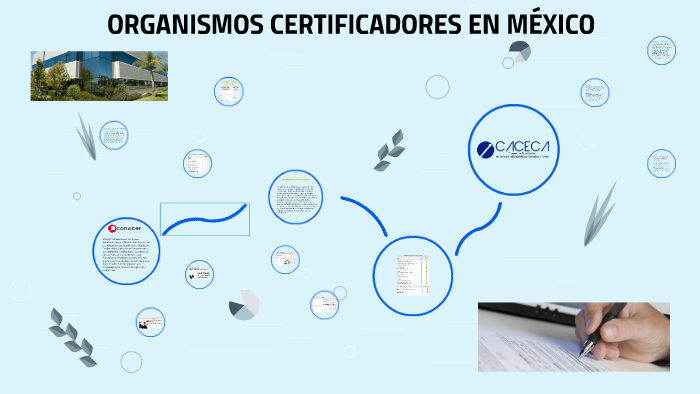 Organismos Certificadores Iso 9001 En México