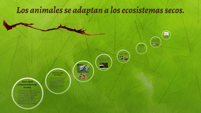 Los animales se adaptan a los ecosistemas secos. by Kevin Flores on Prezi