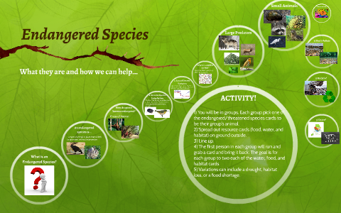 Endangered Species by Maya A on Prezi