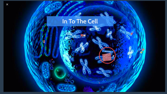 Cell project by Ryan Feng on Prezi