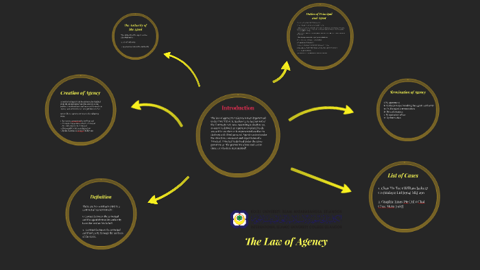 the-law-of-agency-by-wa-ang