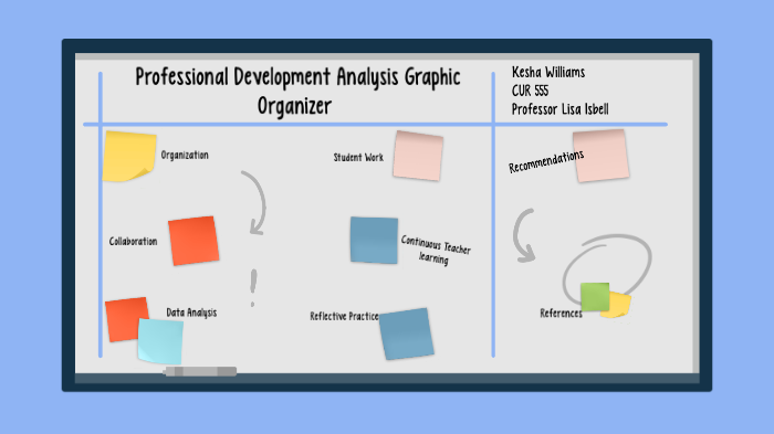 Professional Development Analysis Graphic Organizer by kesha williams ...