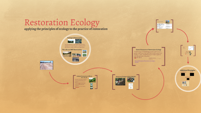 restoration-ecology-by-jennifer-dever