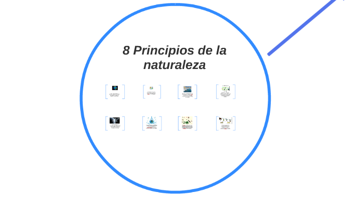 Los 8 Principios De La Naturaleza prezi.com