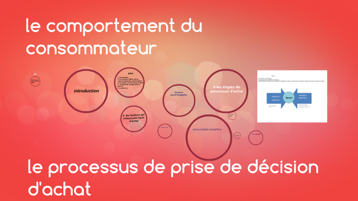 le processus de prise de décision d'achat by hasna anouar on Prezi