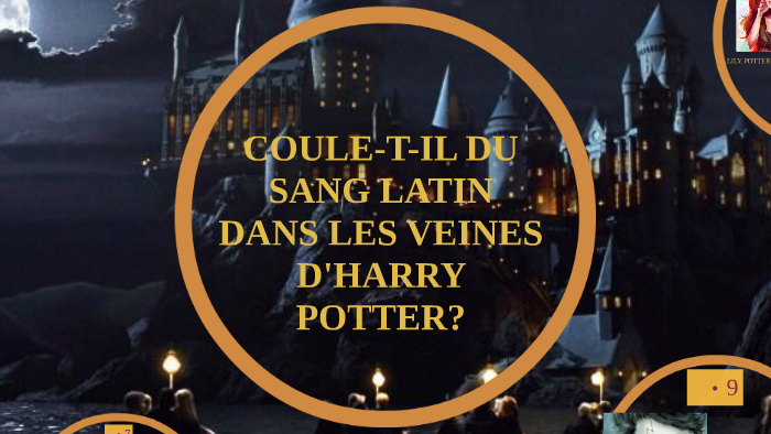 coule-t-il-du-sang-latin-dans-les-veines-d-harry-potter-by-marine-math