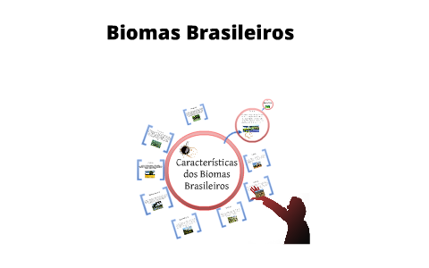 Biomas Brasileiros by Beatriz Ramos on Prezi