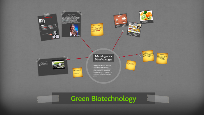 research paper green biotechnology