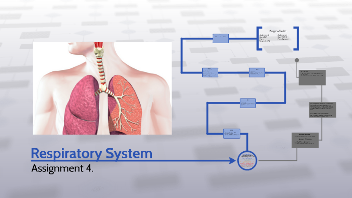 Respirator System by Lynette Pearcey on Prezi