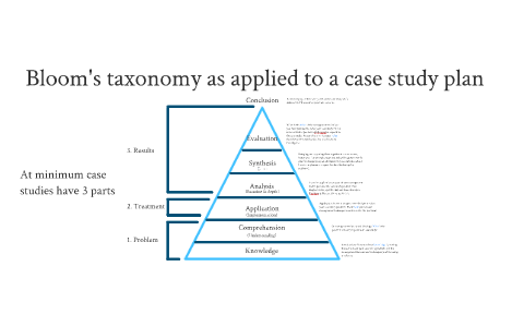 bloom case study analysis