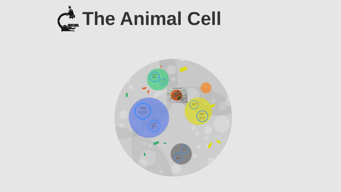Animal Cell by Isabella Ramirez on Prezi