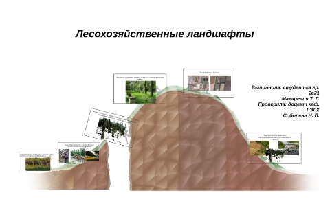 Лесохозяйственные ландшафты презентация