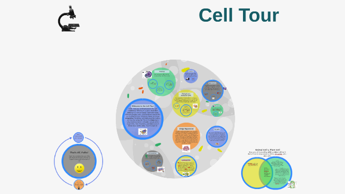 Cell Tour by on Prezi