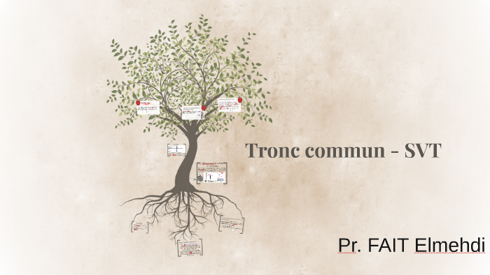 Tronc Commun Svt By Fait Ens On Prezi