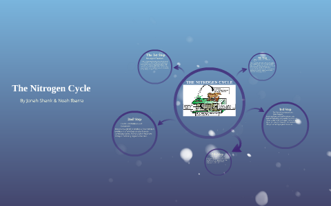 The Nitrogen Cycle by Jonah Shank on Prezi