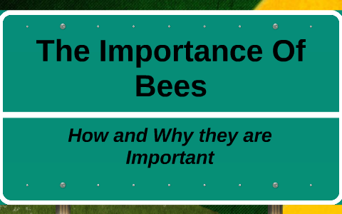 The Importance Of Bees by John Veloso on Prezi