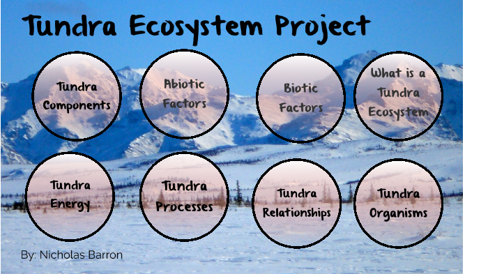 Artic Ecosystem Project by Nick Barron on Prezi