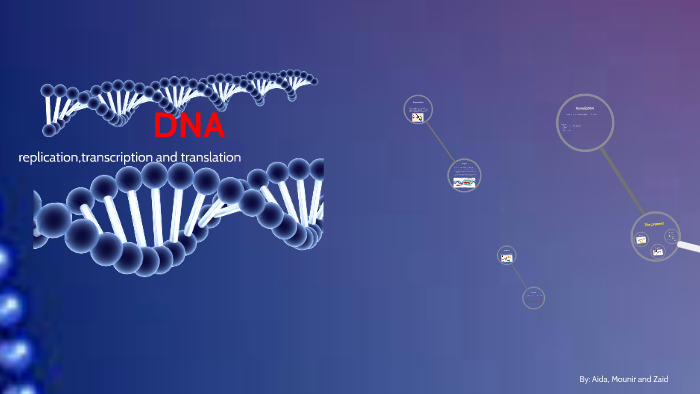 DNA replication, transcription and translation by zaid shanableh on Prezi