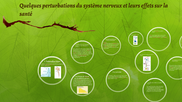 Quelques perturbations du système nerveux et leurs effets su by kenza ...