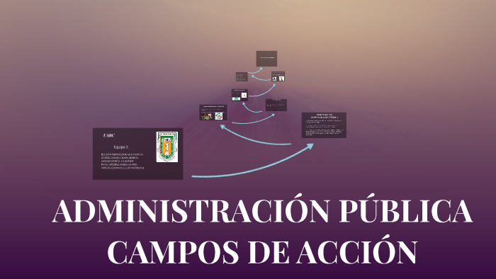 Campos De Accion De La Administracion Publica