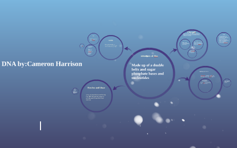 structure of dna by Cameron Harrison on Prezi