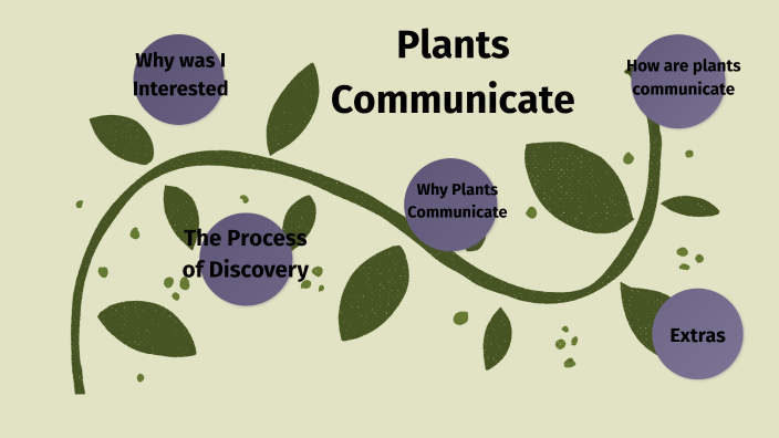 How Plants Communicate by Michele Markowitz on Prezi