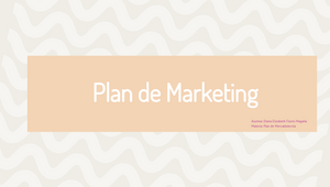Plan de Marketing by Diana Elizabeth Flores Magaña on Prezi Design
