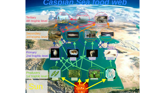Caspian Sea By Karl Boehme On Prezi