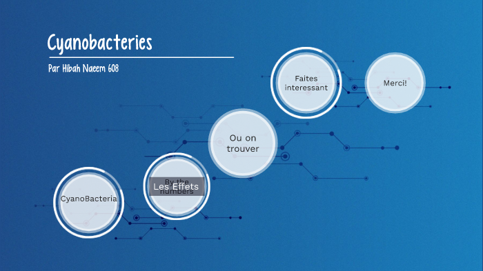 CYANOBACTERIA by maham naeem on Prezi