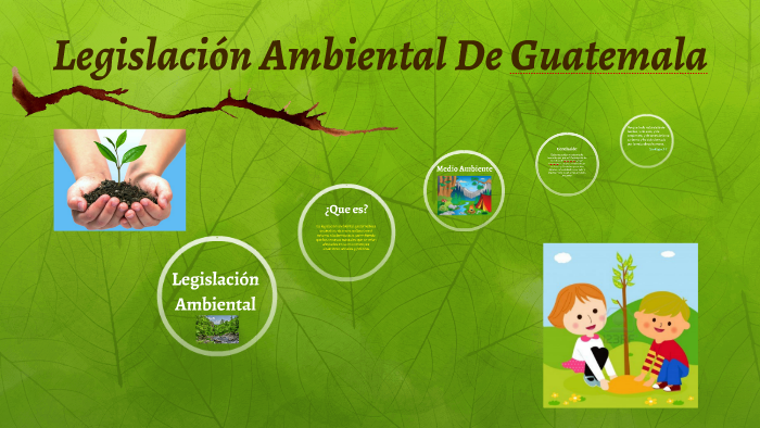 Legislacion Ambiental De Guatemala by Jorge Mendez on Prezi