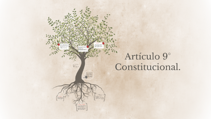 Articulo 9 De La Constitucion Politica Mexicana