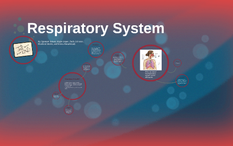 Respiratory System by Zach Johnson