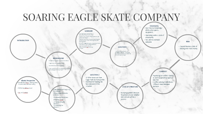 Soaring eagle skate company case study 08 picture