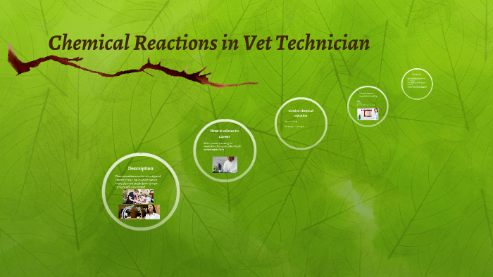 Chemical Reactions by Diana Sanchez on Prezi