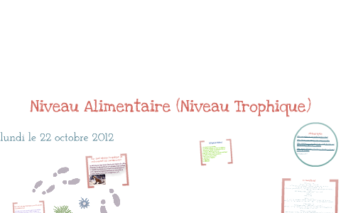 exemples de niveaux trophiques