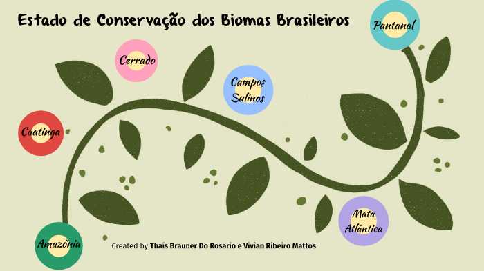 Estado de Conservação dos Biomas Brasileiros 1 by Vivian Ribeiro on Prezi
