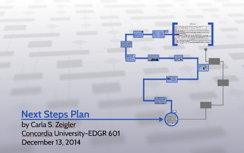 Next Steps Plan by Carla Zeigler on Prezi
