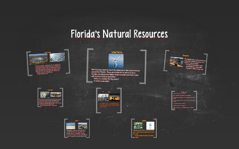 Florida S Natural Resources By Thomas Caselli On Prezi   Vvonnjiacciypbqjb5rrpydauh6jc3sachvcdoaizecfr3dnitcq 3 0 