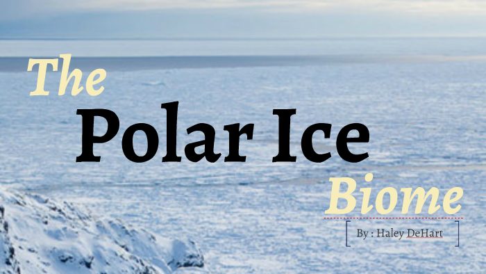 Polar Ice Biome by haley dehart