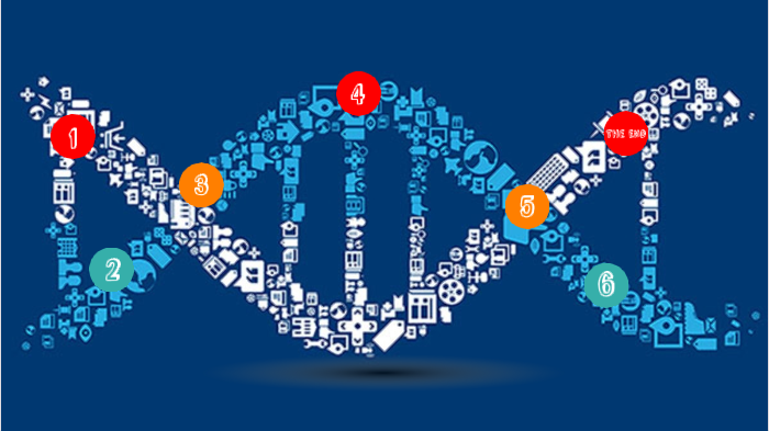 evidence-of-common-ancestry-and-diversity-by-meredith-ho