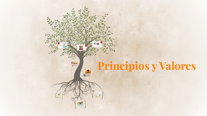 Principios Y Valores By Laura Contreras