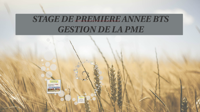 Présentation stage 1ere année BTS GPME by Théo Czajkowski on Prezi