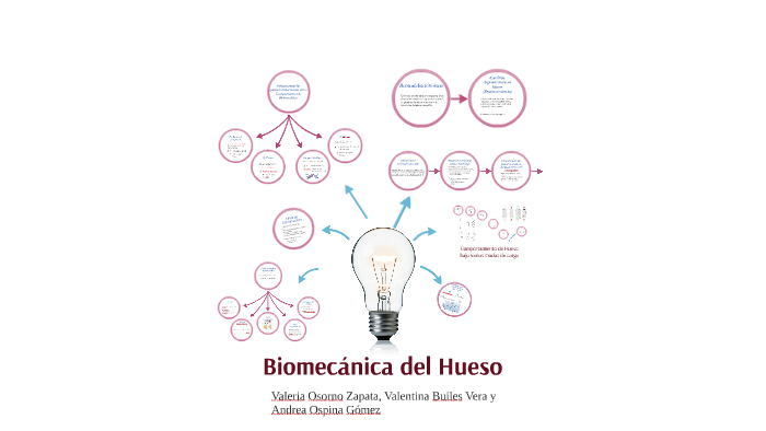 Biomecánica Del Hueso By Andrea Ospina Gómez On Prezi