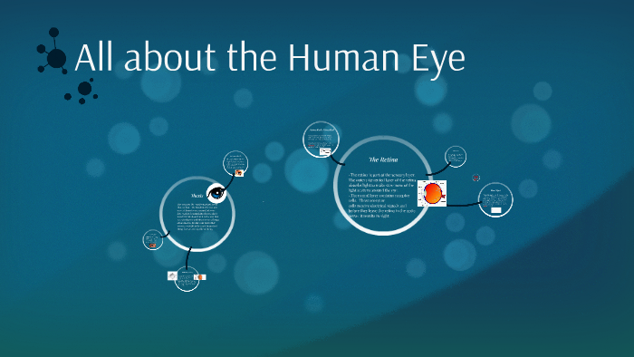 All about the Human Eye by Kyla Shaye on Prezi