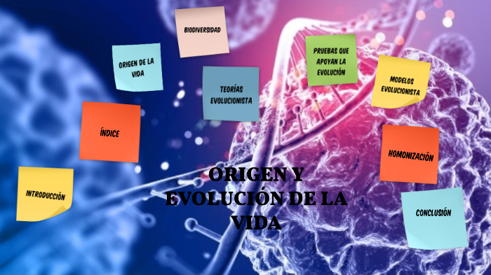 El Origen y La Evolución de la Vida by Gonçalo Ribeiro on Prezi