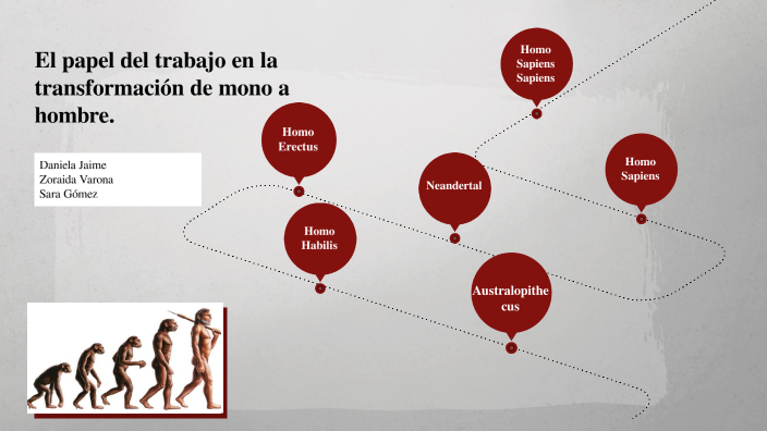 El papel del trabajo en la transformación de mono a hombre by Sara