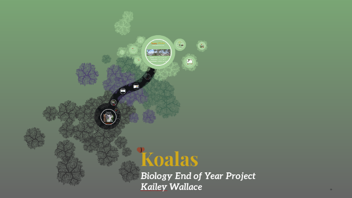 biology-end-of-year-project-by-kailey-wallace