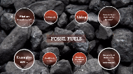 Fossil Fuels~Naomi Zarate by Suzy Corson