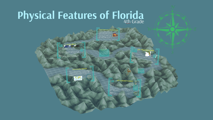 Physical Features Of Florida By Danielle Larson On Prezi   Vwyycbhcah3dvldpnnwfaul4dl6jc3sachvcdoaizecfr3dnitcq 3 0 