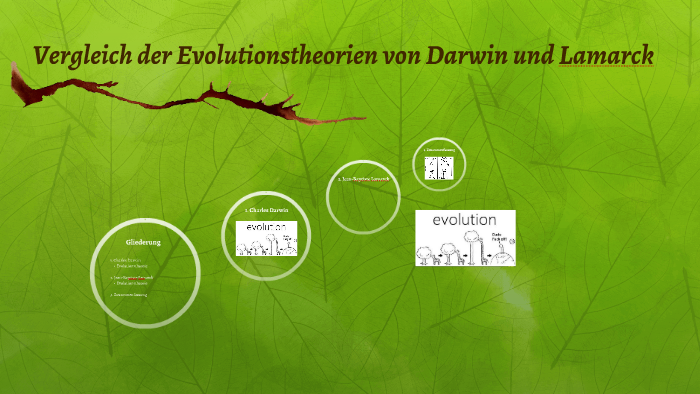 Evolutionstheorien Von Lamarck Und Darwin Vergleich der Evolutionstheorien von Darwin und Lamarck by Carina